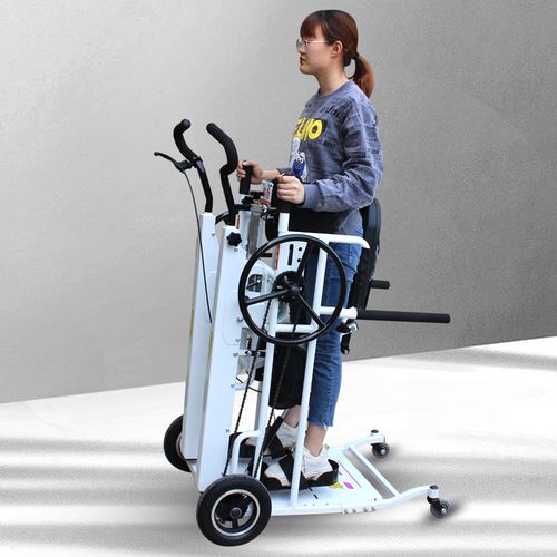泰合辅助代步锻炼康复行走步态残疾助行学步手动轮椅